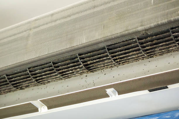 Best Affordable HVAC Duct Cleaning  in Omaha, TX